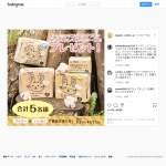 「オーガニックコットンナプキン現品4点フルセット」の画像