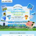 「千屋牛」の画像