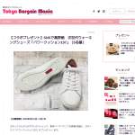 「パワークッション107」の画像