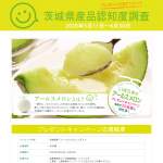 「茨城県産『アールスメロン』1玉入り」の画像