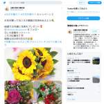 「国産　花束」の画像