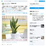 「空気を浄化すると言われている観葉植物 サンスベリア・陶器鉢」の画像