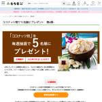 「ココナッツ煎  袋入り」の画像
