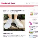 「パワークッション107」の画像