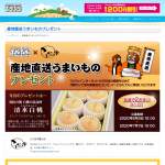 「岡山県産清水白桃3個入り」の画像