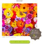 「エディブルフラワー」の画像