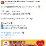 「かっぱえびせん醤油香るかぼす味 1ケース」の画像