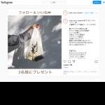 「フラワー刺繍デザイン透け感ショッピングバッグ」の画像