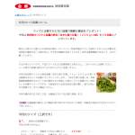 「秋田県の枝豆「あきた香り五葉」」の画像