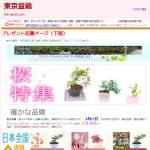 「優美に花咲くミニ盆栽」の画像