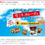 「夏のカレー詰め合わせ」の画像