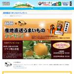 「岡山県産ソフト明日香梨（約3㎏）を3名様にプレゼント」の画像