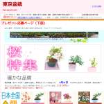 「優美に花咲くミニ盆栽」の画像