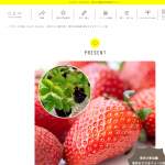 「東京おひさまベリーの苗」の画像