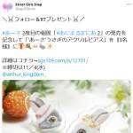 「&lsquo;あーさ&rsquo;うさぎのアクリルピアス」の画像