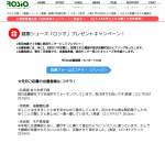 「かかとが無い？！健康シューズ「ロシオ」」の画像