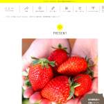 「東京練馬産の完熟イチゴ」の画像