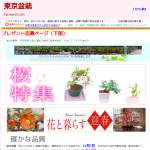 「ミニ盆栽 「秋にも咲く桜」など」の画像