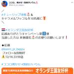 「オランダ産希少種チューリップ球根＆キャラメルワッフル」の画像