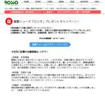 「かかとが無い？！健康シューズ「ロシオ」」の画像