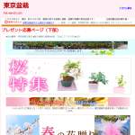 「ミニ盆栽「春と秋の二回咲き　さくら」 など」の画像