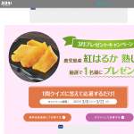 「鹿児島産 紅はるか 熟し芋」の画像