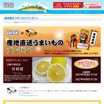 「宮崎の特産品「日向夏（約2.5kg）」を3名様にプレゼント」の画像