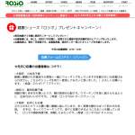 「かかとが無い？！健康シューズ「ロシオ」」の画像