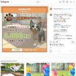 「Ａｍａｚｏｎギフト券３，０００円分」の画像