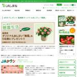 「島根県オリジナルあじさい「茜雲」」の画像