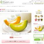 「JA茨城旭村【光センサー選果メロン2玉入り】」の画像