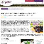 「栄養冊子とプルーン新商品」の画像