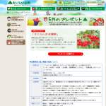 「さくらんぼ 佐藤錦」の画像