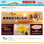 「夏みかんゼリー「柑乃雫」」の画像