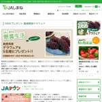 「島根県産デラウェア」の画像