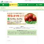 「博多のトマト　他」の画像