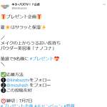 「パウダー美容液「ナノコナ」」の画像