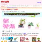 「優美に花咲くミニ盆栽 「すいれんぼく」　、「愛情の木」　、「さくら」など」の画像