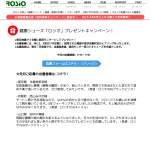 「かかとが無い？！健康シューズ「ロシオ」」の画像