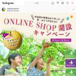 「梨・シャインマスカット」の画像