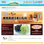 「岡山の旬のぶどう詰め合わせセット（3房）」の画像