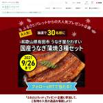 「国産うなぎ蒲焼3種セット」の画像