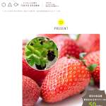 「東京の新品種 東京おひさまベリーの苗」の画像