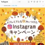 「コンパクトホットプレート、TEEPEEテント、チェキ、ハンドブレンダー」の画像