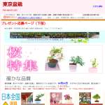 「優美に花咲くミニ盆栽 「すいれんぼく」　、「愛情の木」　、「屋久島サツキ」など」の画像