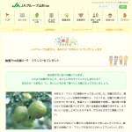 「ラ・フランス 3kg」の画像