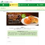 「福岡のかき「富有柿」」の画像