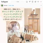 「「cat-hus」ネコ向け家具」の画像