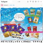 「タナカの旅行の友ピー３点＆田中食品ふりかけ５種＆お菓子５種セット」の画像