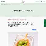 「JAながの「冷蔵シャインマスカット」」の画像